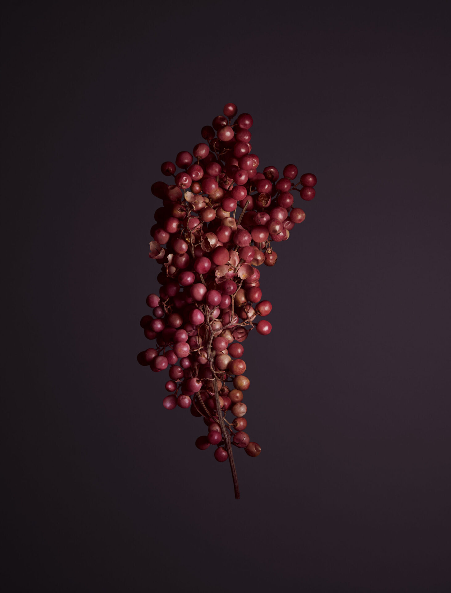 REVOLTAB_Pfeffer_Final_Low_02-2-scaled-1.jpg